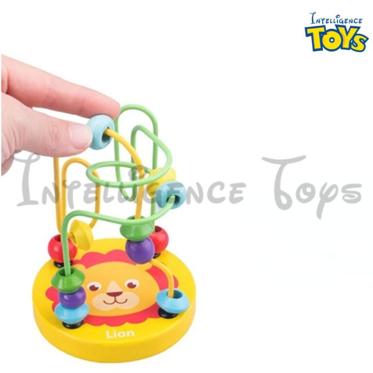 Colorful Roller Coaster Educational Circle Toy